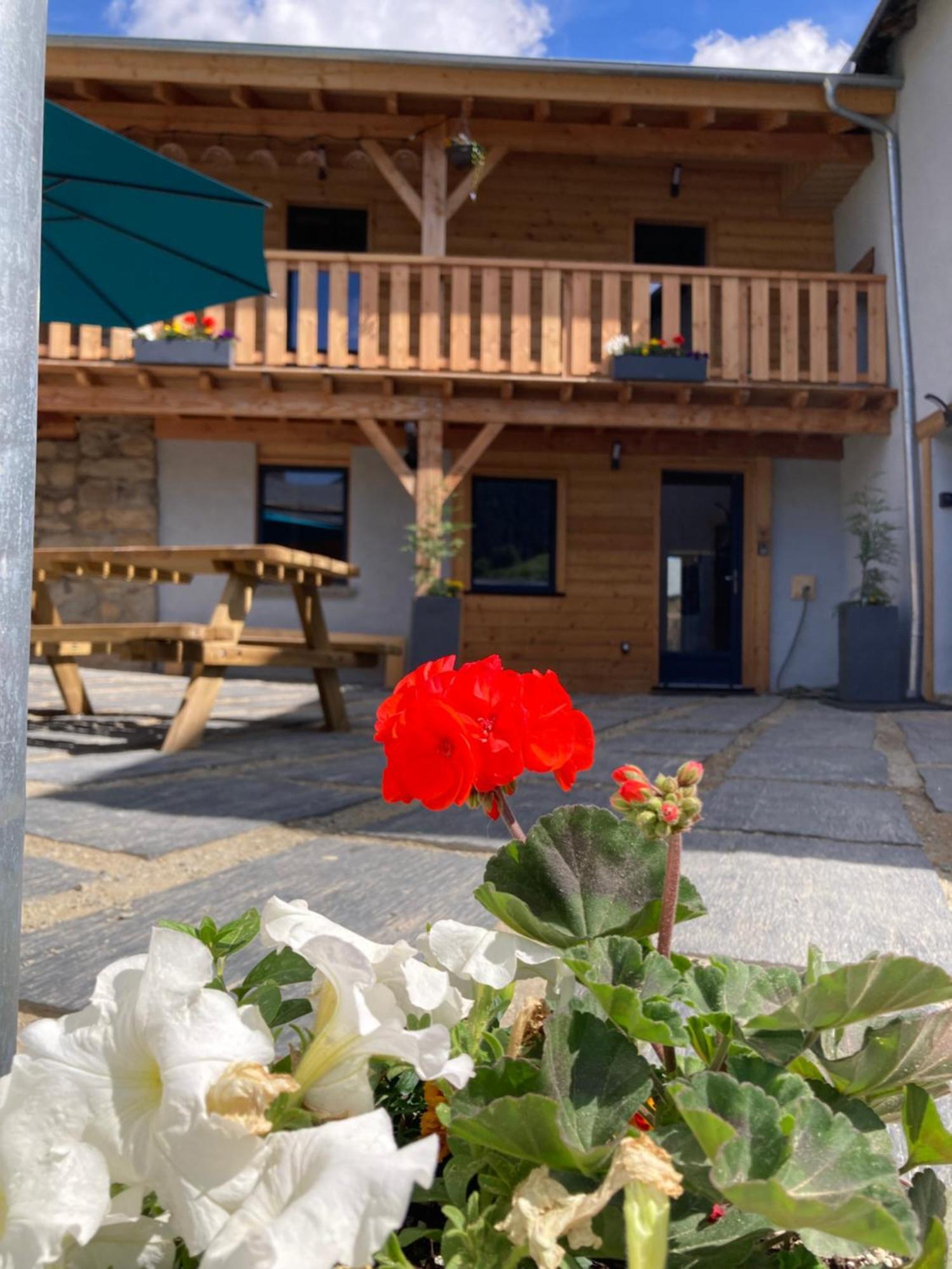 Studio Canellito Le Clos Des Ours Matemale Exterior foto