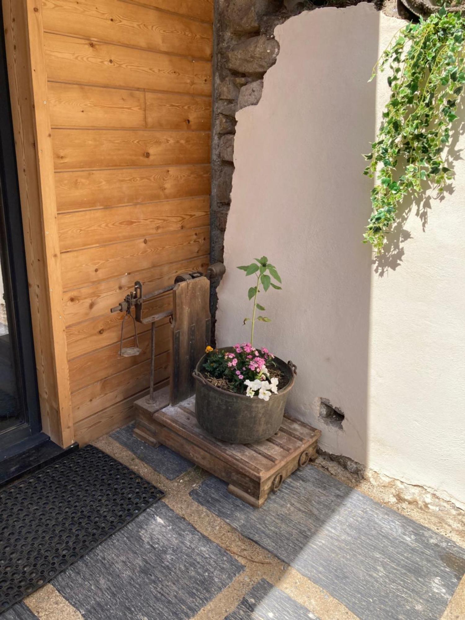 Studio Canellito Le Clos Des Ours Matemale Exterior foto